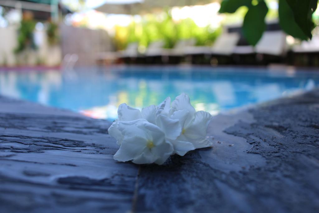 Phuc Thao Villa Hội An Kültér fotó