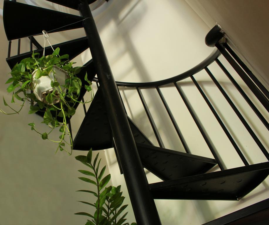 Phuc Thao Villa Hội An Kültér fotó